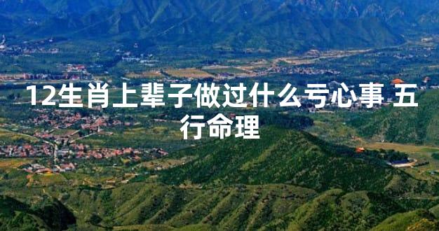 12生肖上辈子做过什么亏心事 五行命理
